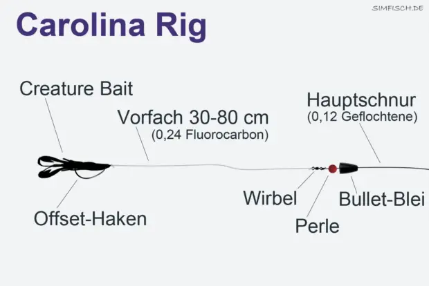 Carolina Rig Montage